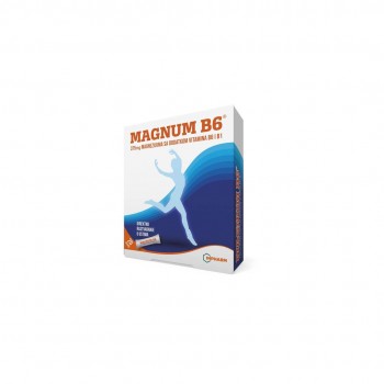 Magnum B6 kesica a20 
