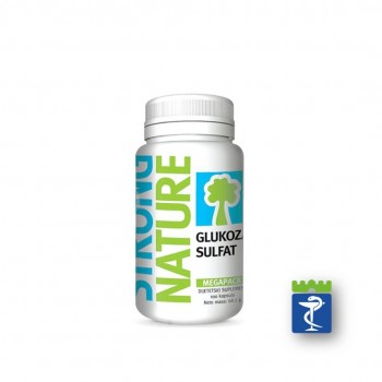 Glukozamin Sulfat 500 mg kapsule a100