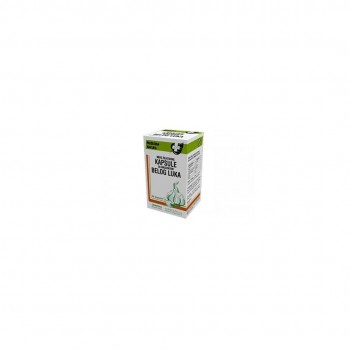Beli luk kapsule a50 